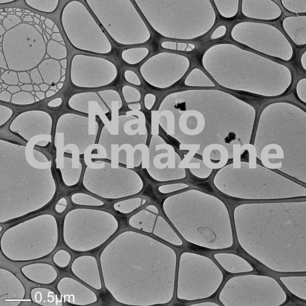 Graphene coated TEM Grids