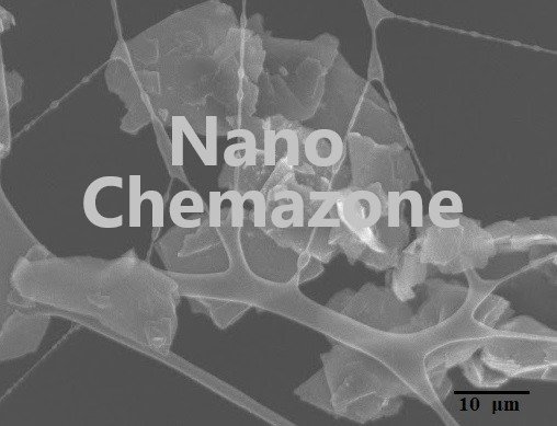 Graphene and CNT Dispersion