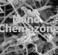 Carbon nanofiber Dispersion