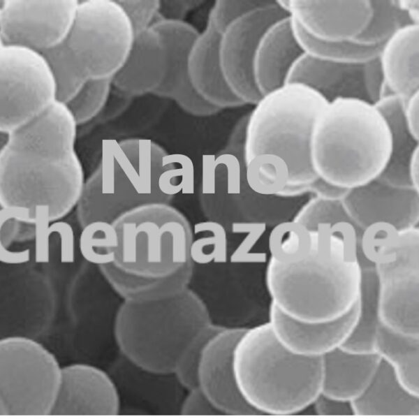 Calcium Carbonate Silica Core-Shell Nanoparticles