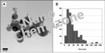 Aluminium Nanoparticles powder