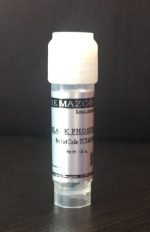 Black Phosphorus Crystal