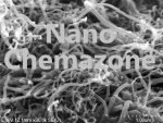 Multiwalled Carbon Nanotubes