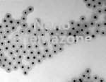 Gold Titanium Oxide Core-Shell Nanoparticles