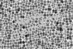 Cadmium Telluride Quantum Dots