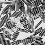 Gold Nanowires