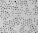 Iron Oxide Nanoparticles