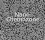 Nickel Nanoparticles