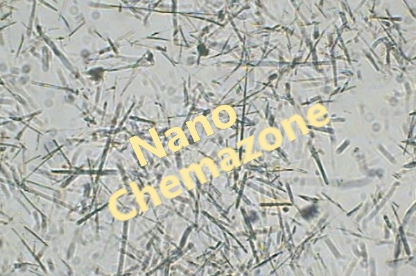 Titanium Dioxide Nanowires