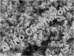 Zirconium Nanopowder and Micron Size
