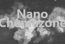 Zirconium Metal Organic Framework