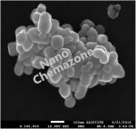 Tantalum Powder microparticles