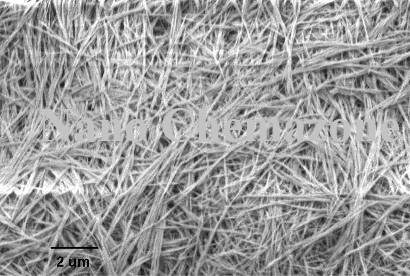 Iron Oxide Nanowires Nanorods