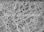 Titanium Oxide Nanowires